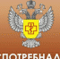 Полезные продукты для  лимфатической системы - Новошешминский район